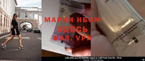 хмурый Бородино
