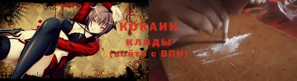 хмурый Бородино