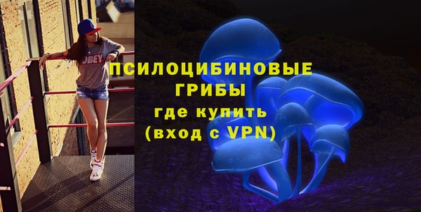хмурый Бородино