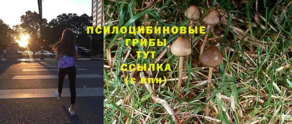 хмурый Бородино