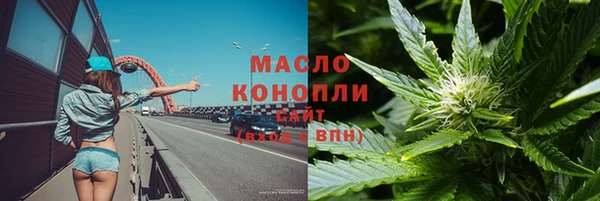 хмурый Бородино